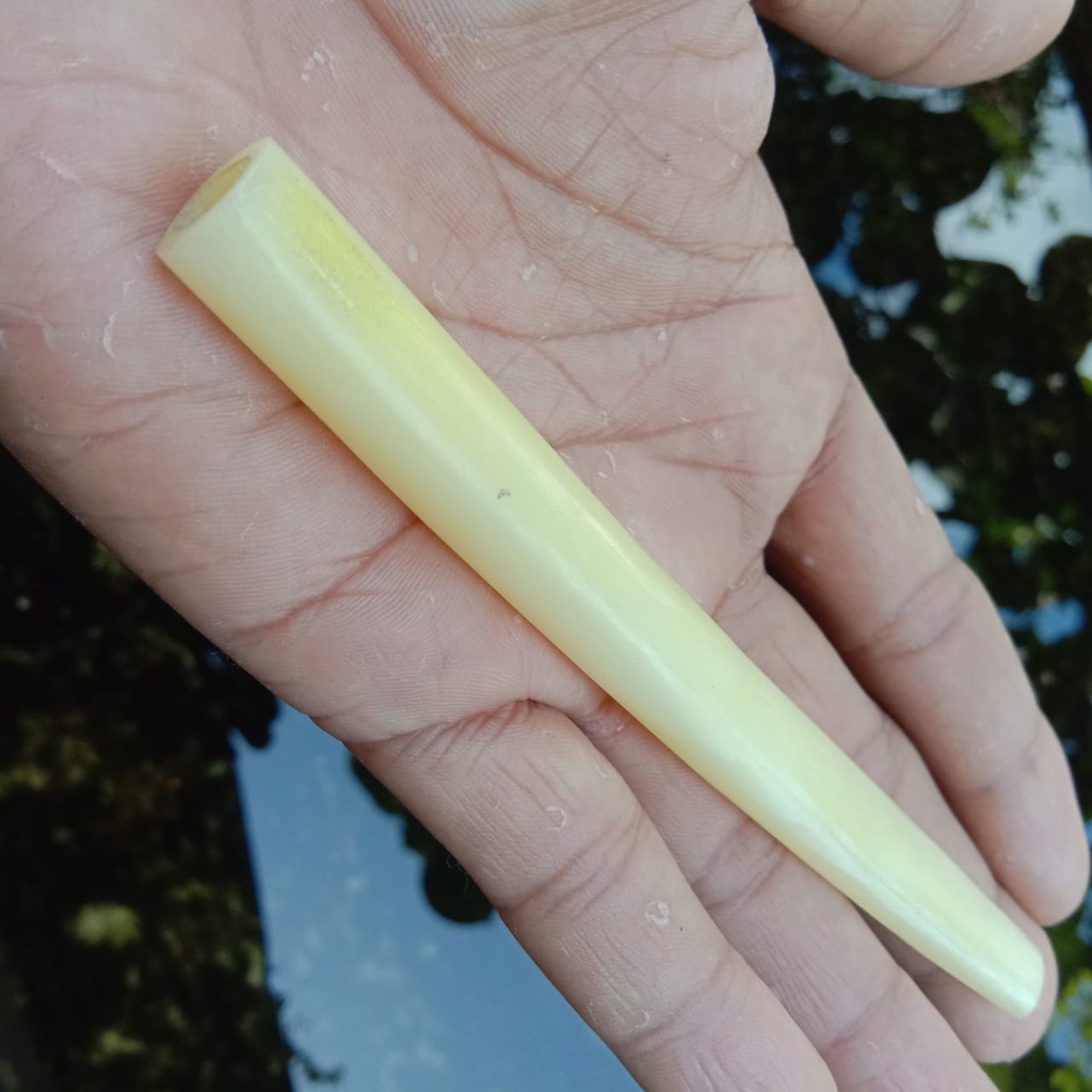 pipa tulang sapi kuning gading pipa once tulang sapi asli