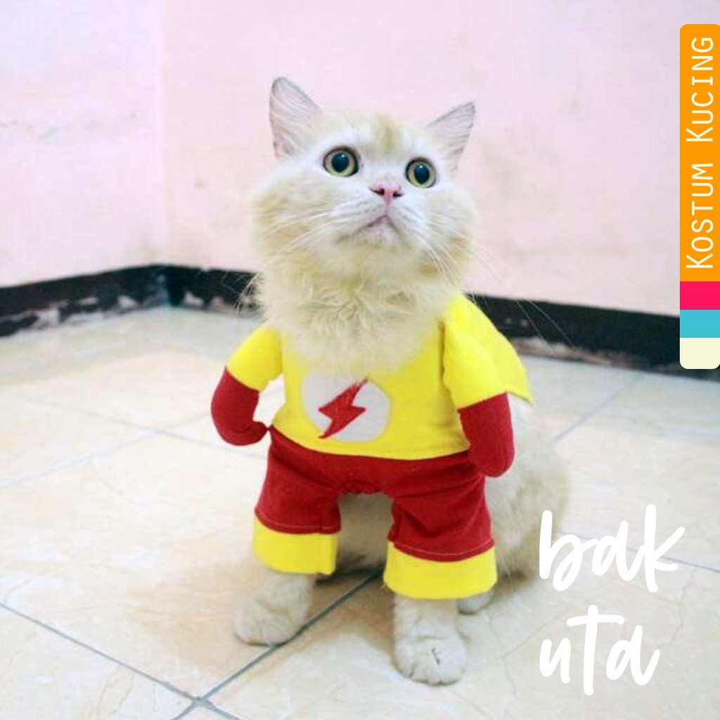 Kostum flash untuk kucing dan anjing, kostum lucu murah meriah size S M L XL