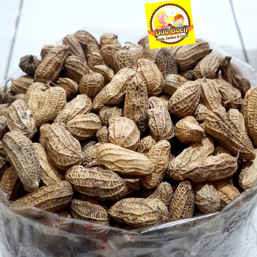 

Kacang Kulit Sangrai Pasir Panas 250 Gram - Duo Bocil Snack