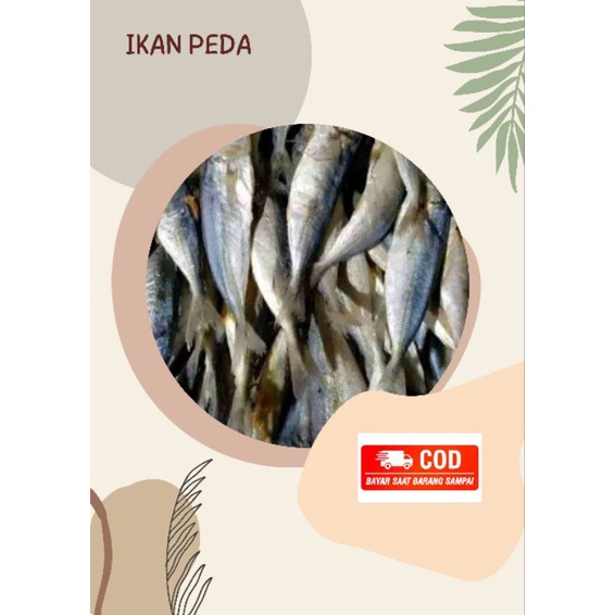 

Ikan pedo asin /250 gram