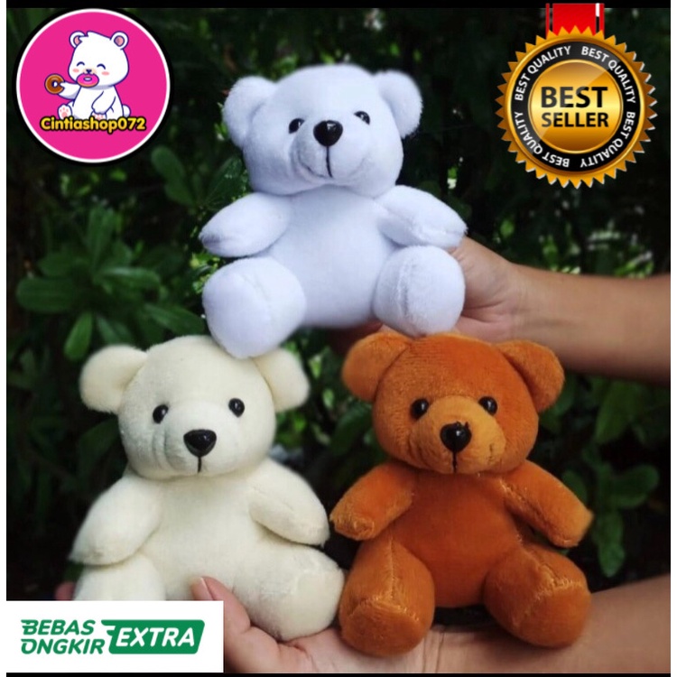 boneka beruang/ boneka teddy bear/ boneka beruang teddy bear mini/boneka wisuda