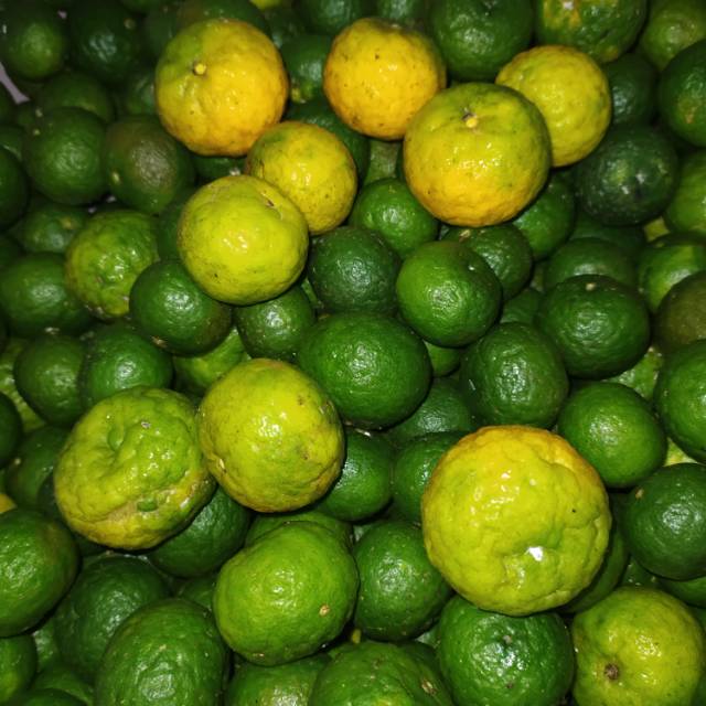 

jeruk purut 1kg