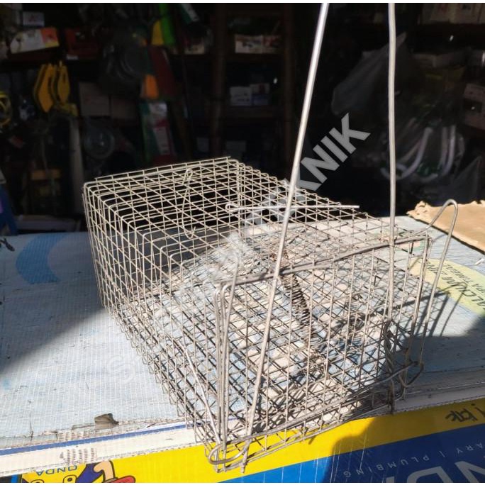 Kurungan Tikus Jebakan Tikus Perangkap Tikus Curut Kawat Putih Kecil