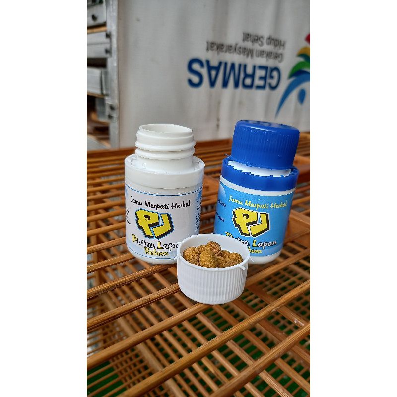 

JAMU MERPATI KOLONG HERBAL MERPATI