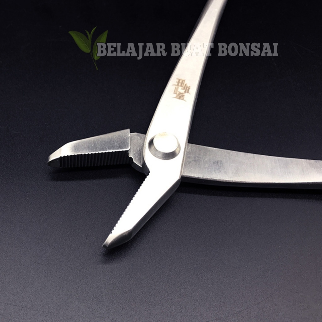 Tang Kawat Bonssai Penekuk Kawat Bonsai 21 Cm Bahan Stainless Steel