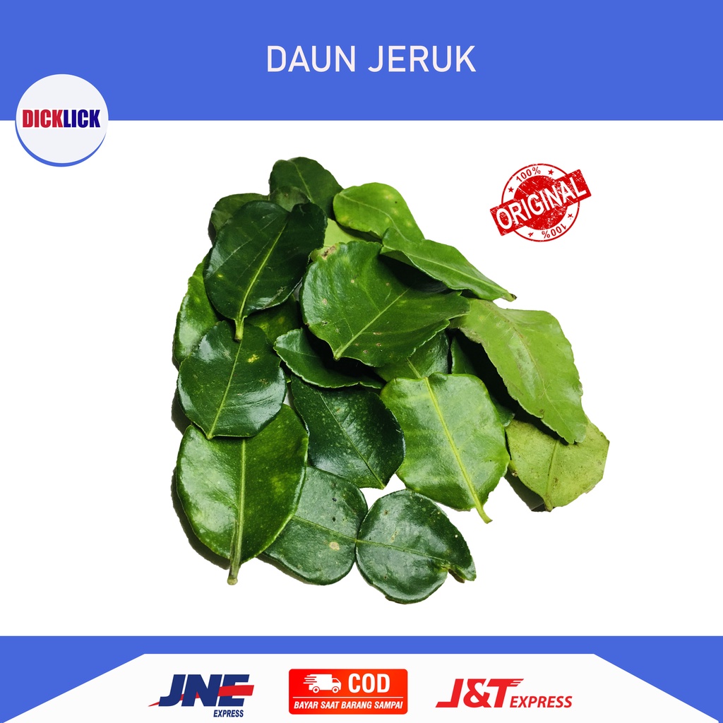 

DAUN JERUK WANGI SEGAR 100GR