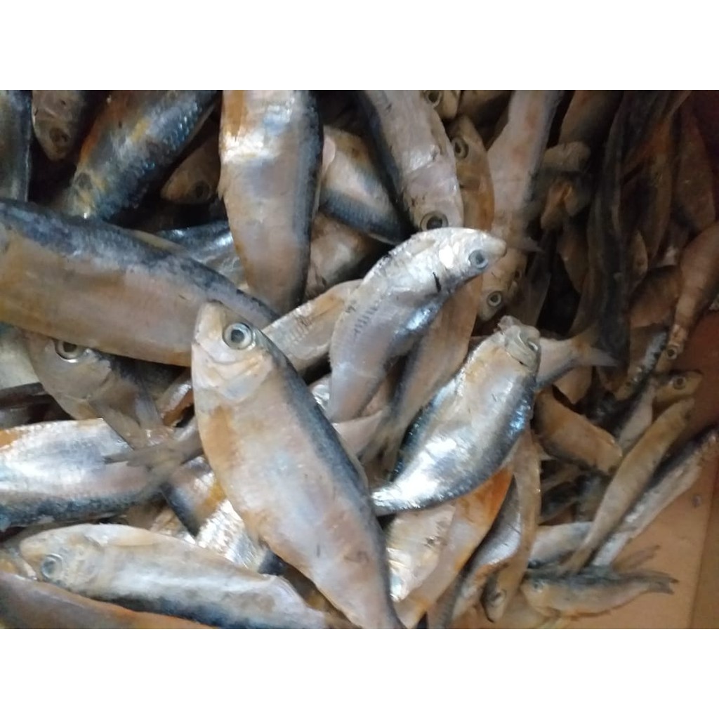 

IKAN ASIN TEMBANG 100 gram Depok