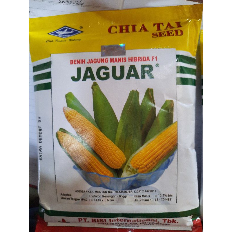 Benih Jagung Manis Hibrida F1 JAGUAR