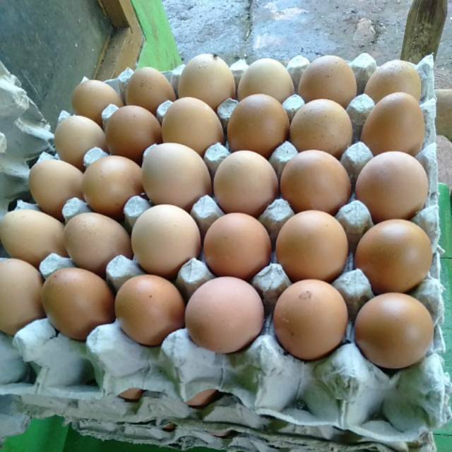 

Telur Ayam Negeri 1 kg