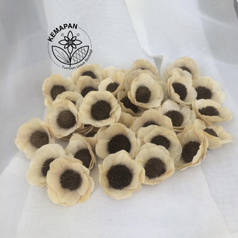 bunga kering dried flower bunga klobot jagung (bunga klobot jagung)