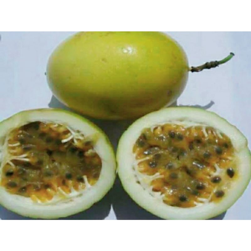 

markisa kuning segar