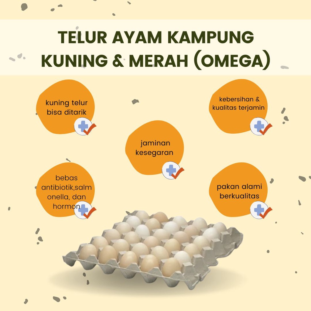 

Telur Ayam Kampung Asli