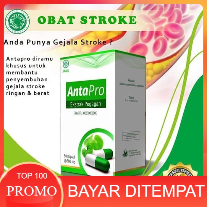 Obat Stroke Kolesterol Hipertensi Paling Ampuh (COD)
