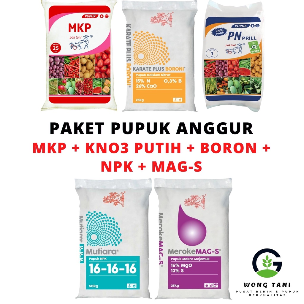 PAKET PUPUK ANGGUR EKONOMIS LENGKAP