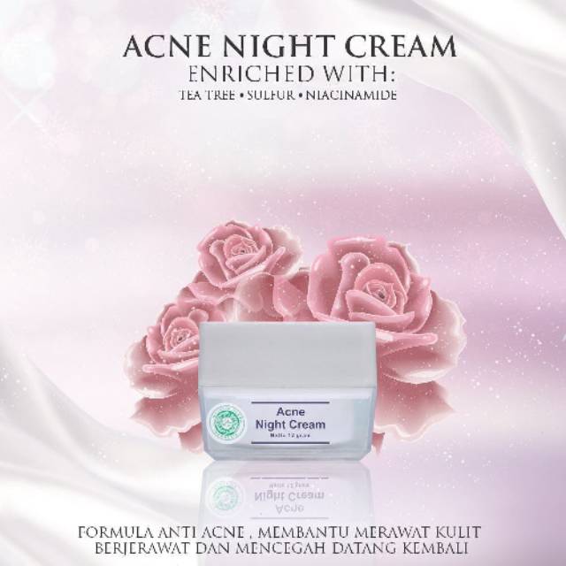 Acne night cream ms glow original