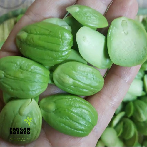 

PETAI SEGAR 50 G PETE KALIMANTAN PETE KUPAS PETAI BESAR SAMBAL PETE PETAI KUPAS KUALITAS TERBAIK