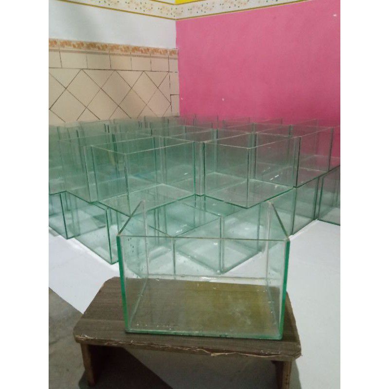 Soliter Aquarium guppy/ikan cana