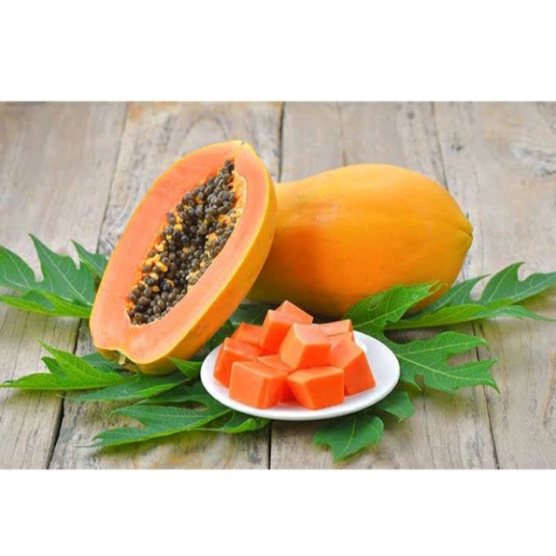 

PEPAYA CALIFORNIA TERMURAH