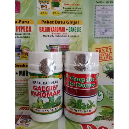 Obat Kencing Batu & Batu Ginjal.