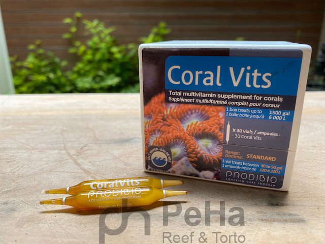 Prodibio Coral Vits 1 ampul - 1 vial - Multivitamin Lengkap Coral