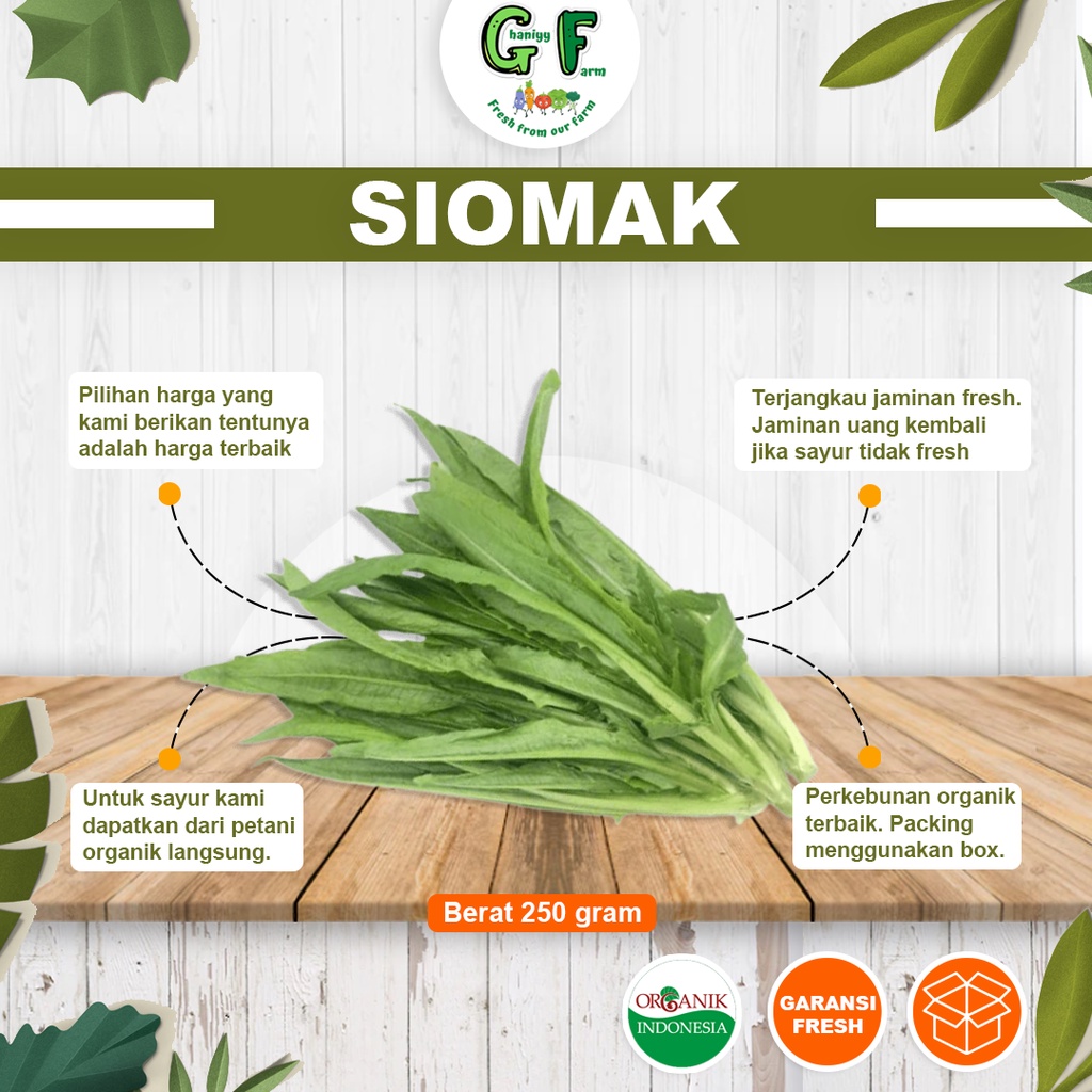 

Sayur Organik Siomak Lettuce Selada Wangi Segar Sehat Fresh Murah