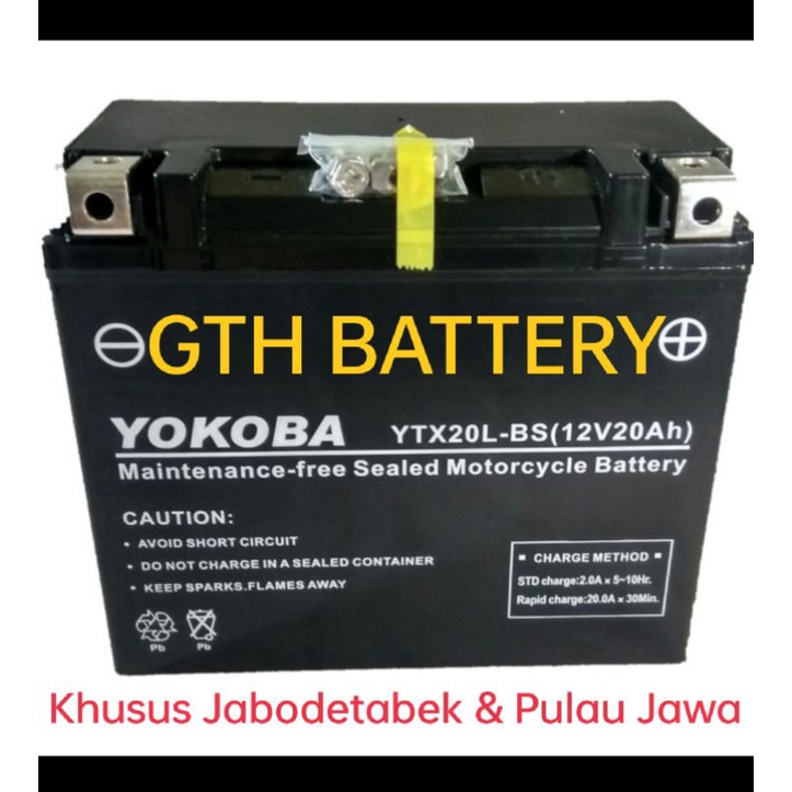 Aki Moge/ Harley Yokoba YTX20L-BS