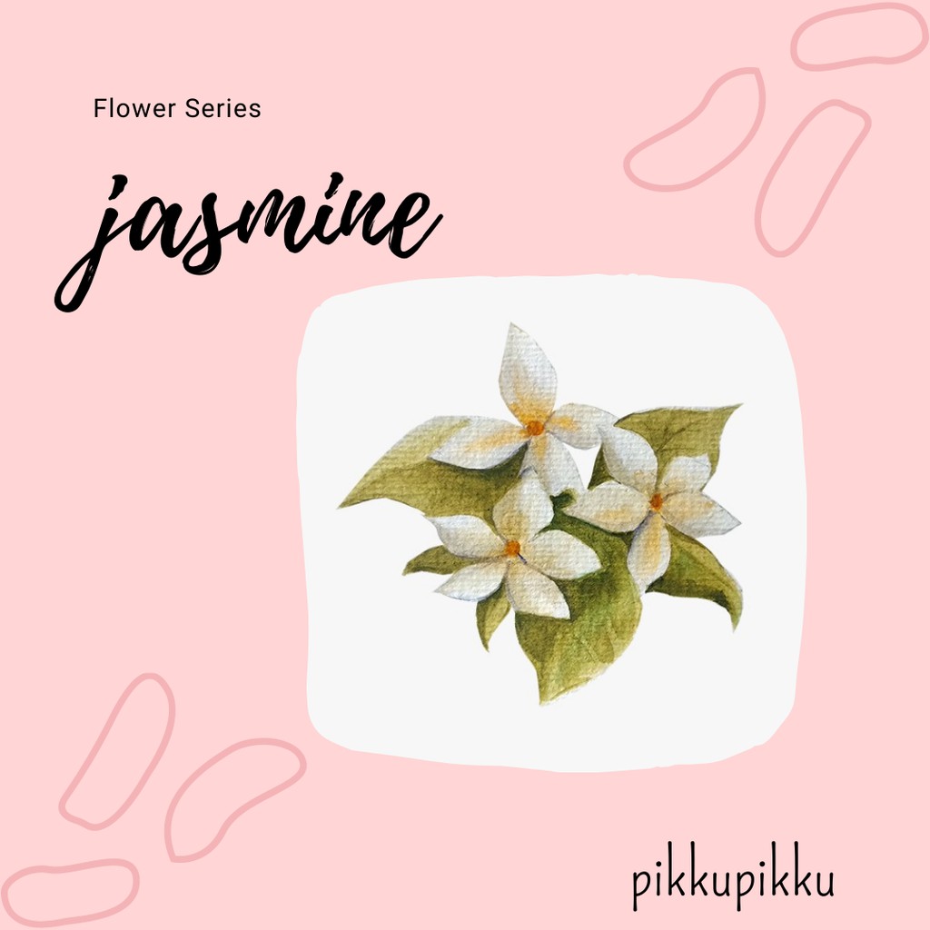 

JASMINE FLOWER SERIES STICKER | STICKER AESTHETIC LUCU MURAH