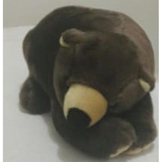 Boneka Spring Air Bear