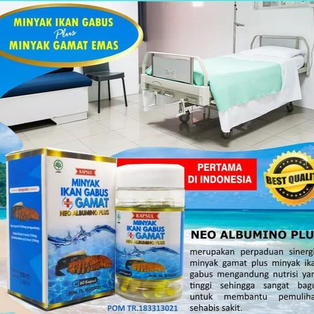 TERLARIS!!! Minyak Ikan Gabus Plus Gamat 60 kapsul Neo Albumino Plus Gamat Emas