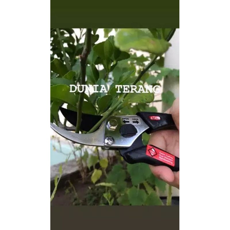 gunting dahan ranting fukuda st-808 tanaman bonsai bunga stainless steel garden 8&quot;