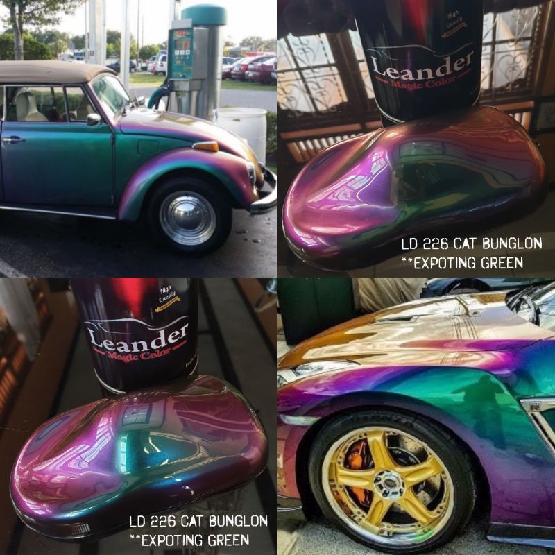 

Leander chameleon paint Expoting green