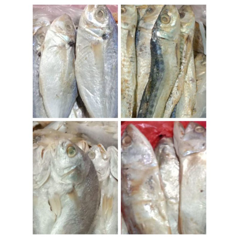 

Ikan asin selar / peda putih / samge / japu (250g)