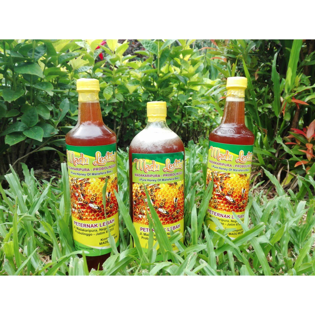 

MADU RANDU SUPER KHAS MADAKARIPURA KEMASAN JERIGEN 500 ml