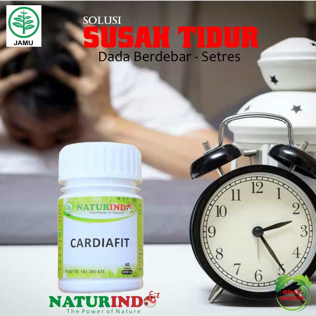 Obat Herbal Susah Sulit Tidur Malam Hari Dada Berdebar Debar Rasa Cemas Stres Mengantuk Siang Shopee Indonesia
