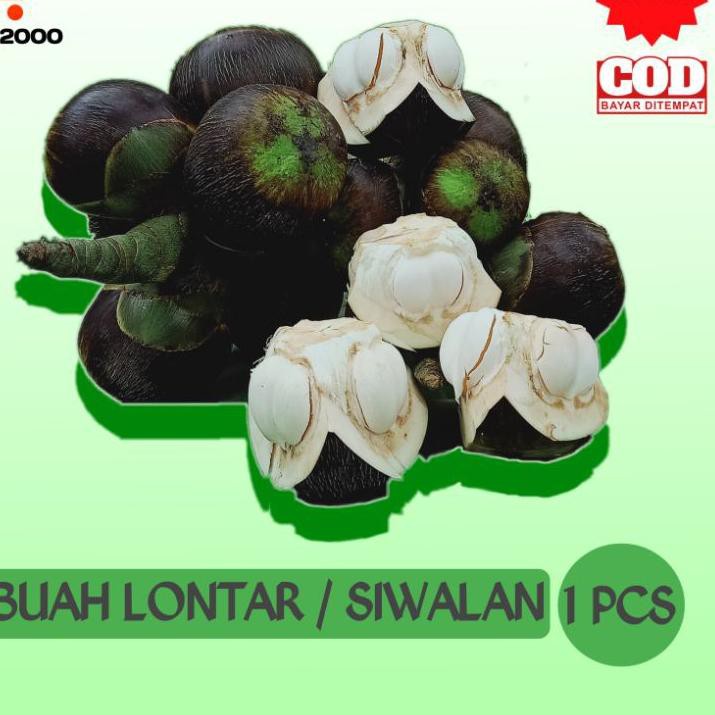 

Ental buah pohon siwalan khas Paciran