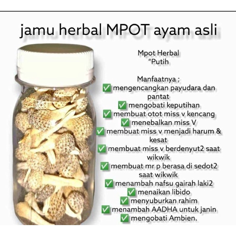 JAMU MPOT AYAM BIANG PUTIH ORI