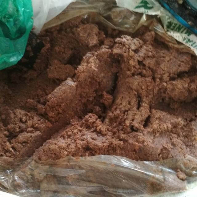 

Terasi udang Asli khas Aceh - Langsa 1 kg