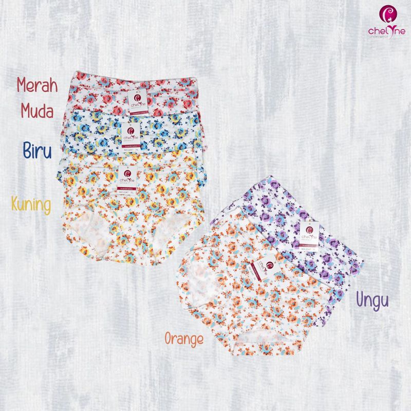 Grosir Celana dalam Wanita motif supersoft