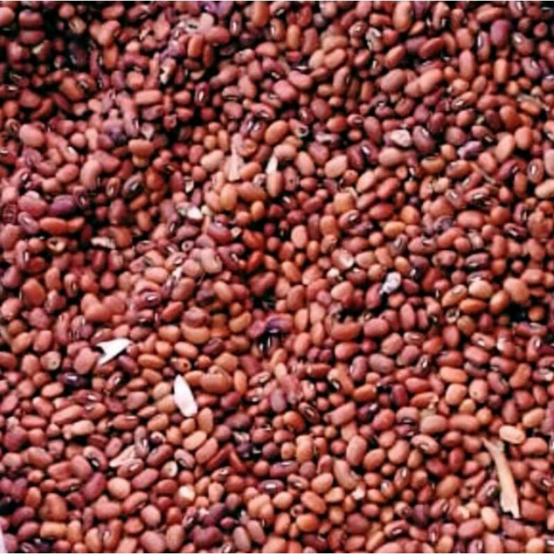 

kacang tolo / tunggak