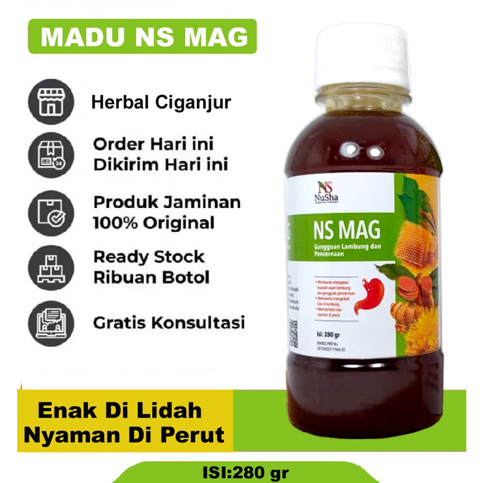 Madu Maag NS MAG (6 in 1) Mengobati Sakit Maag Asam Lambung Gerd Mual Kembung 280 gr