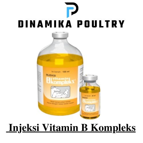 Injeksi Vitamin B Kompleks 20 ml
