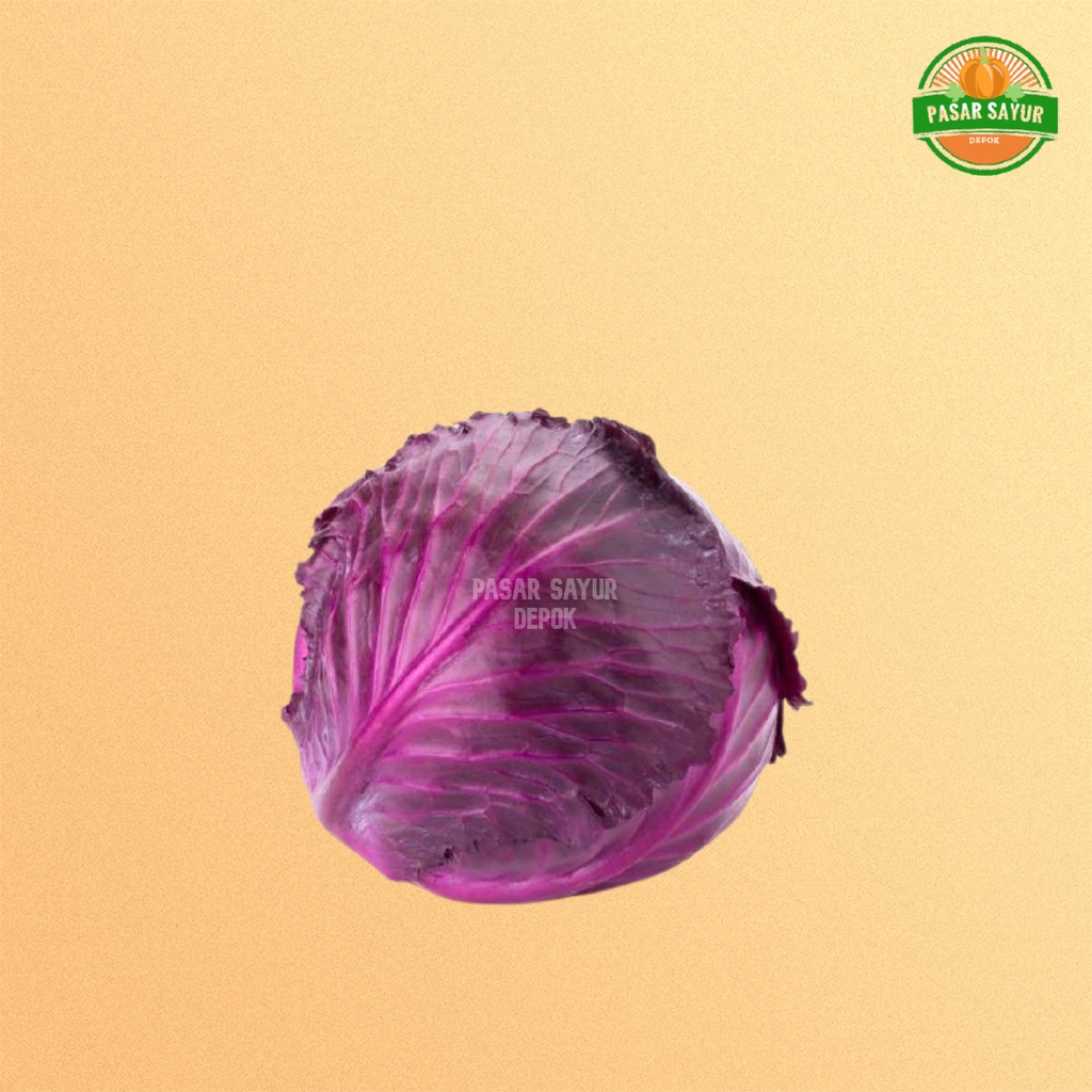 

Kubis merah segar / kubis ungu / kol merah 400 gram murah segar dan lengkap