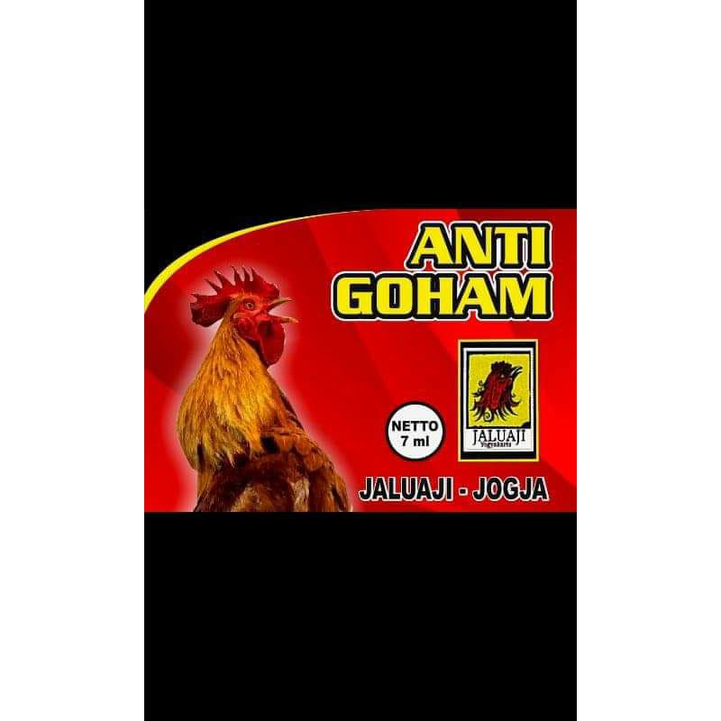 obat ayam  goham anti goham jaluaji obat  ayam manikan bucu perenteng