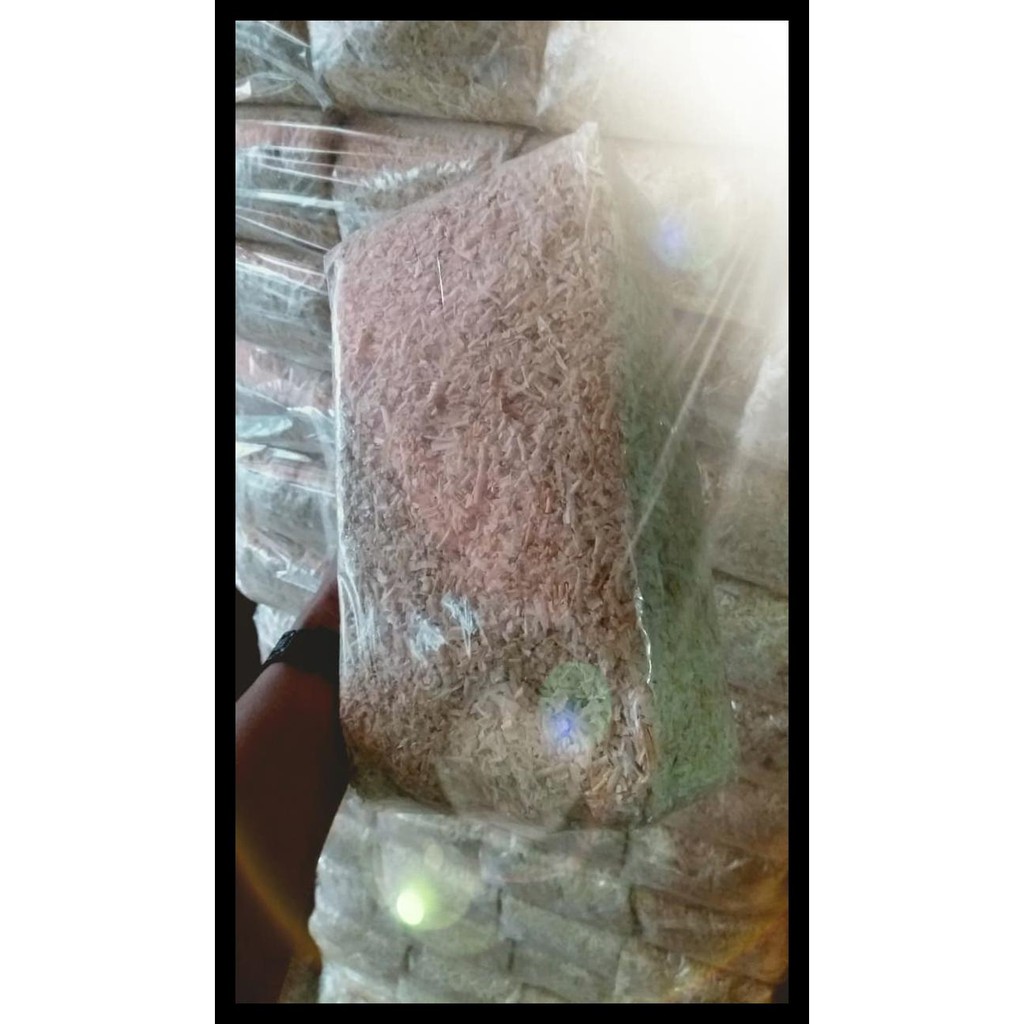 Serbuk Kayu Kucing Hamster Terlengkap