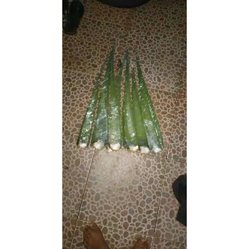 

pelepah batang lidah buaya 1kg