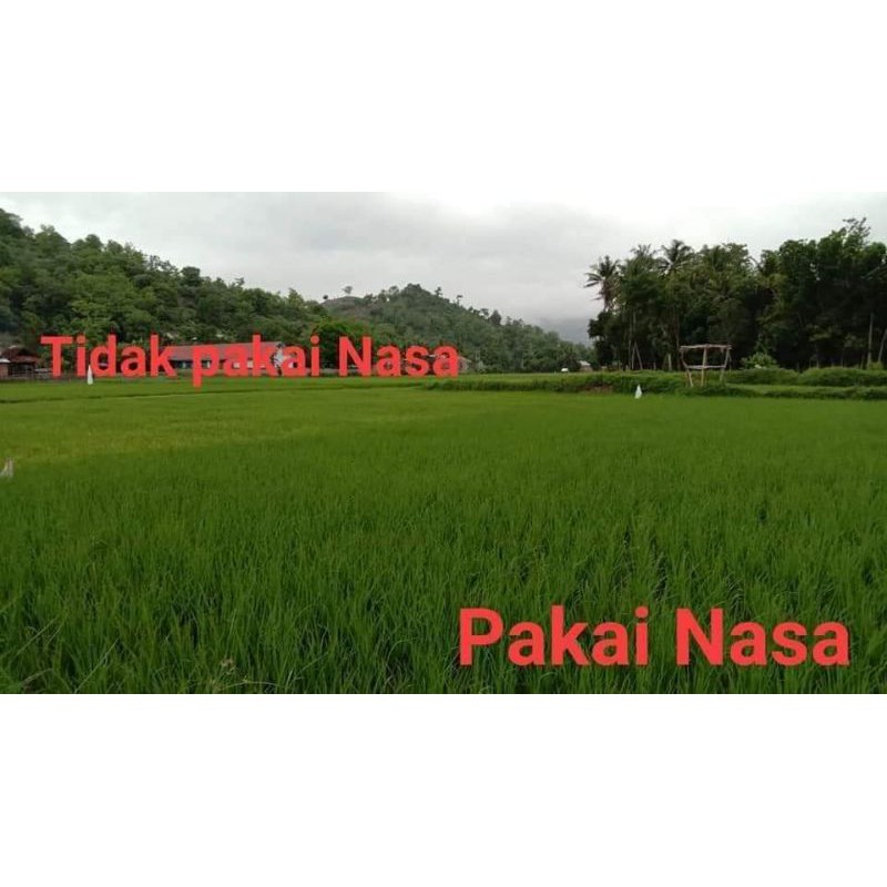 Pupuk granule nasa