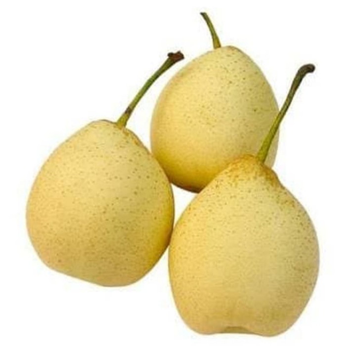 

PEAR YA LIE FRESH IMPORT PER KG