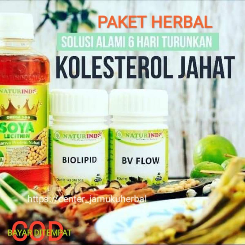 PAKET RESEP HERBAL SOLUSI KOLESTEROL TINGGI DAN JAHAT.HERBAL NATURINDO FRESH