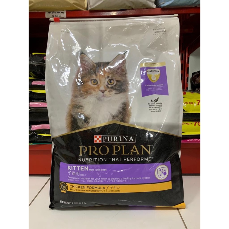 Proplan Kitten Chicken 8kg - Makanan Anak Kucing