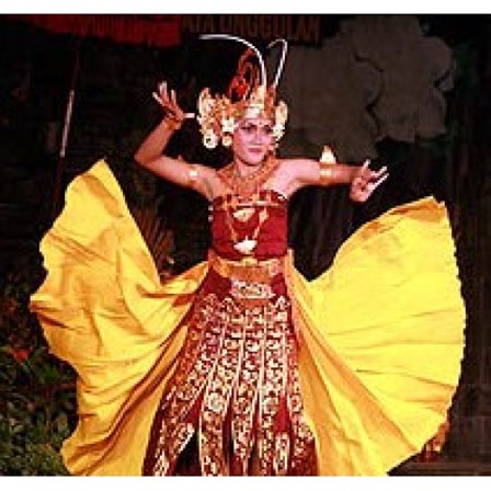 Pakaian busana tari cendrawasih bali metris kostum komplit